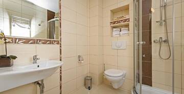 Фото номера Двухместный номер с 1 кроватью Отель Park Hotel Tryszczyn г. Tryszczyn 15