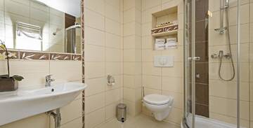 Фото номера Двухместный номер с 1 кроватью Отель Park Hotel Tryszczyn г. Tryszczyn 7